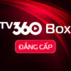 ĐẲNG CẤP BOX